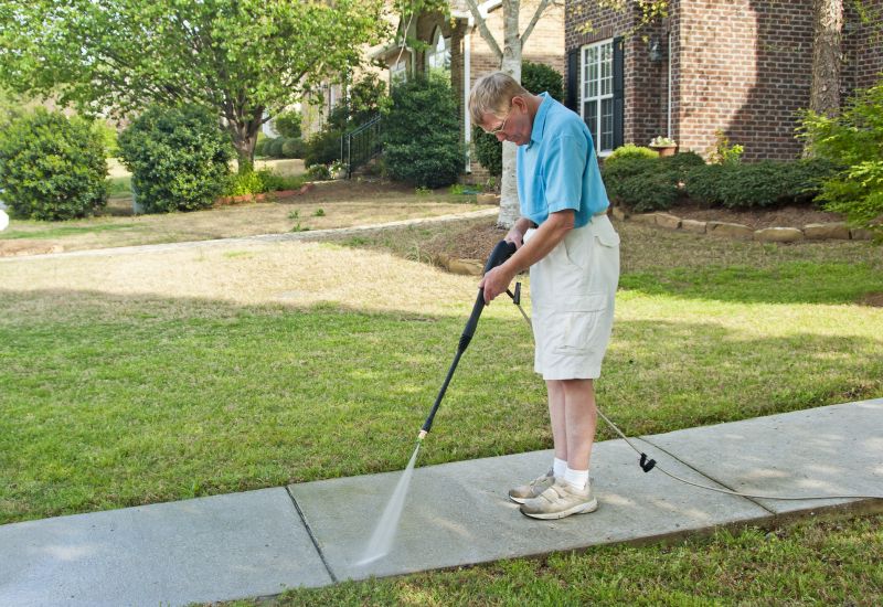 Walkway Cleaning