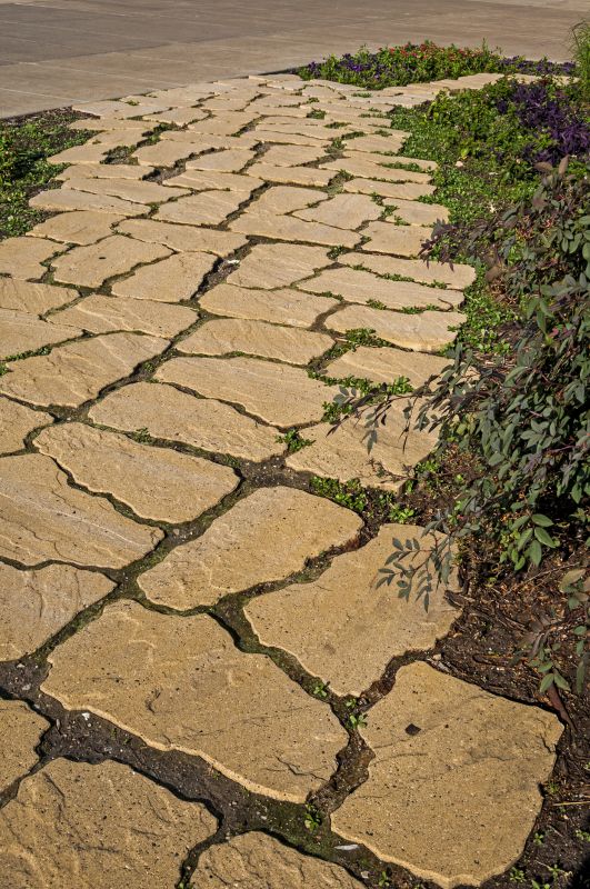 Stone Pathway Restoration